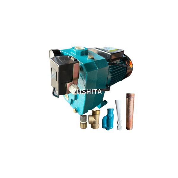 Wปั๊มเจทคู่+ อุปกรณ์ ZUSHITA  DP1100N