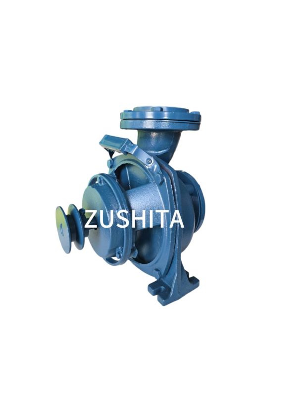 หัวปั๊มเจทคู่ เพลาลอย ZUSHITA ZST-330N