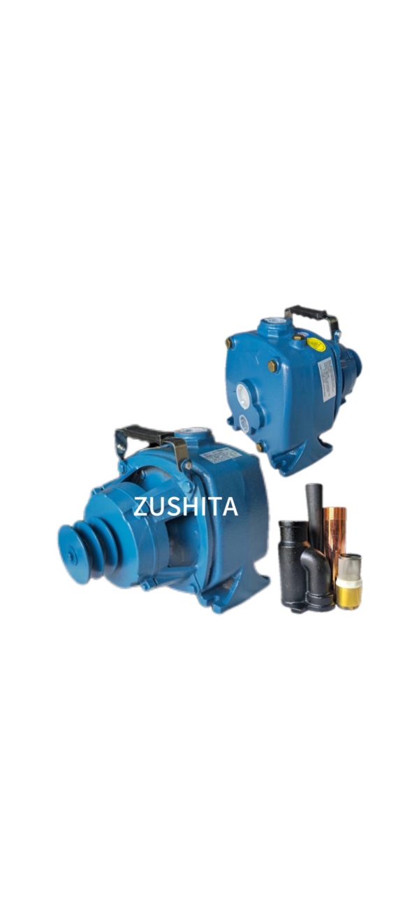 หัวปั๊มเจ็ทคู่ เพลาลอยZUSHITA(ZST-230N)